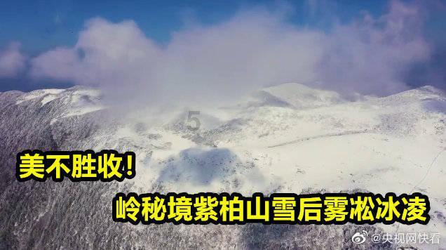 姓朱能养富贵竹吗？游戏画面
