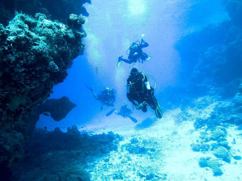 守护飞行城堡