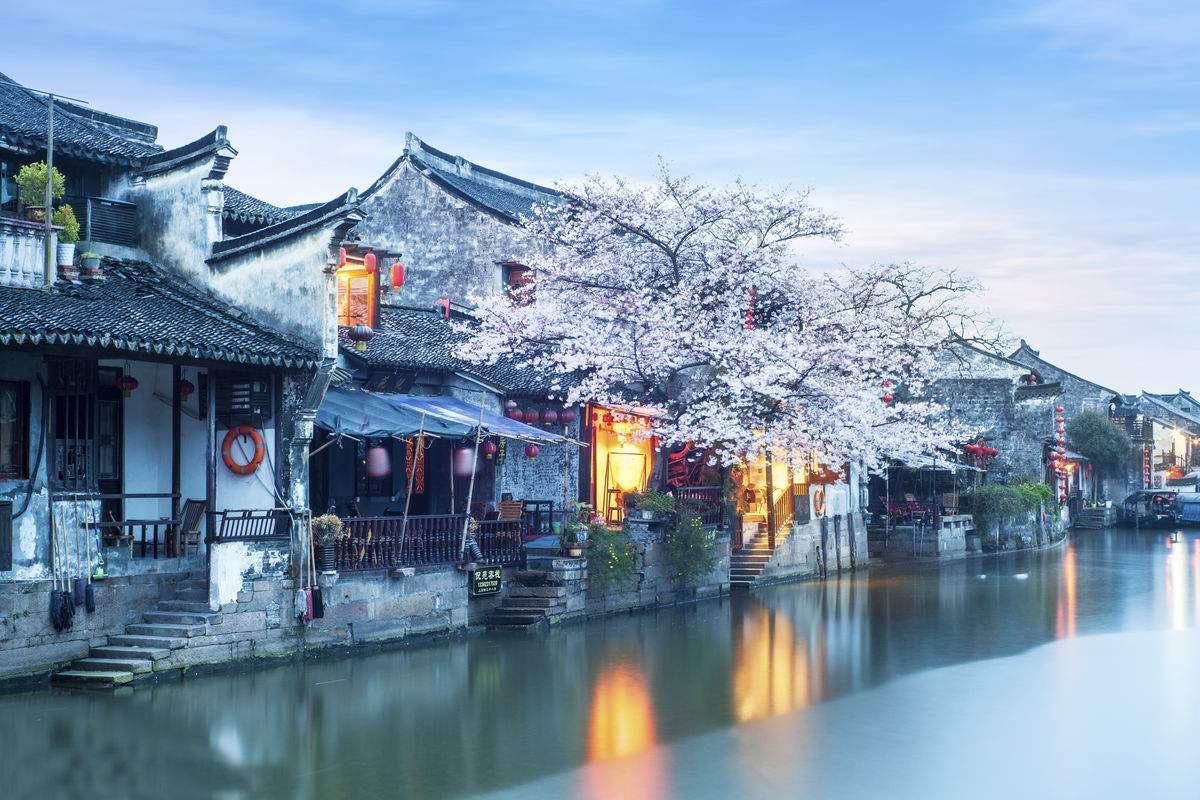 茂密丛林逃生