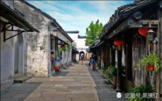 为什么胃液都消化不了金针菇?,解决你的疑惑